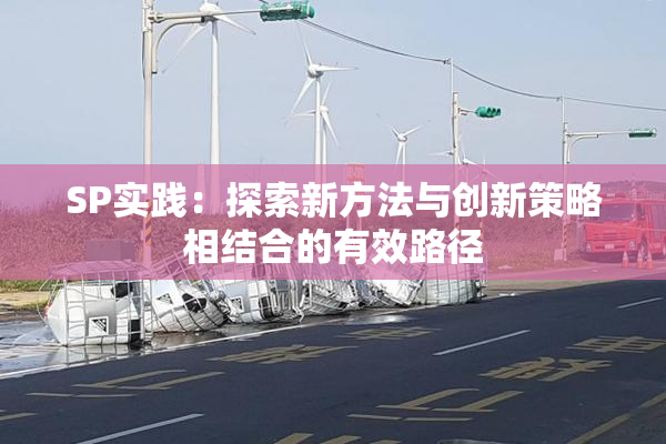 SP实践：探索新方法与创新策略相结合的有效路径