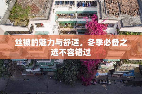 丝被的魅力与舒适，冬季必备之选不容错过