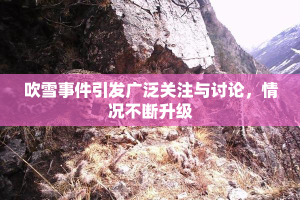 吹雪事件引发广泛关注与讨论，情况不断升级