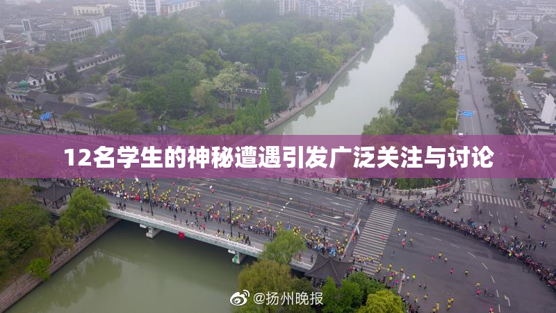12名学生的神秘遭遇引发广泛关注与讨论