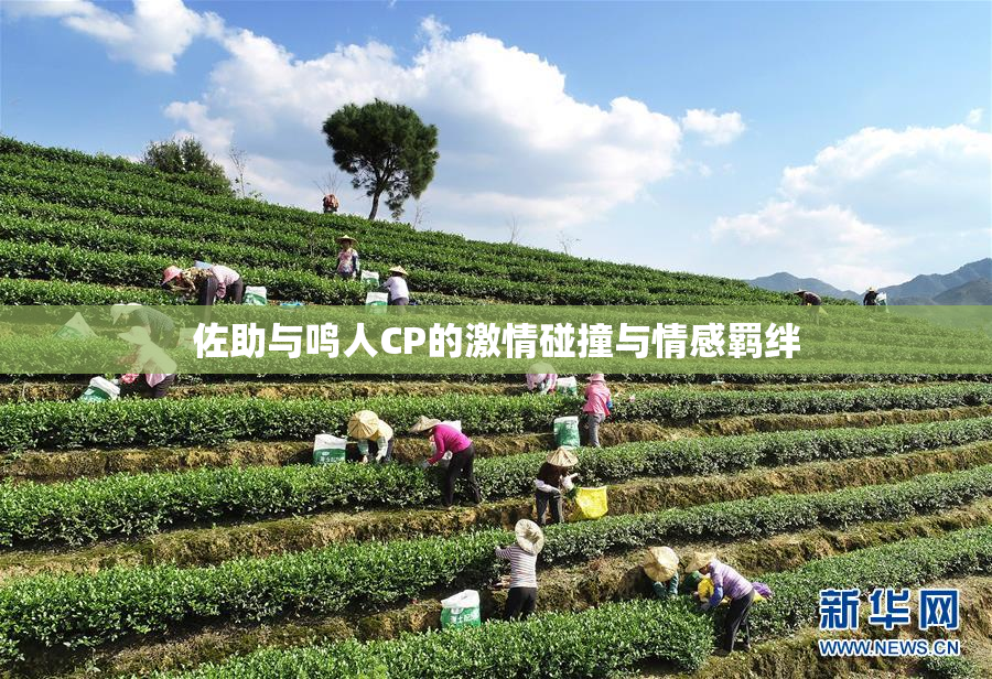 佐助与鸣人CP的激情碰撞与情感羁绊
