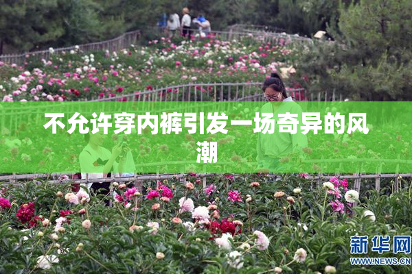 不允许穿内裤引发一场奇异的风潮