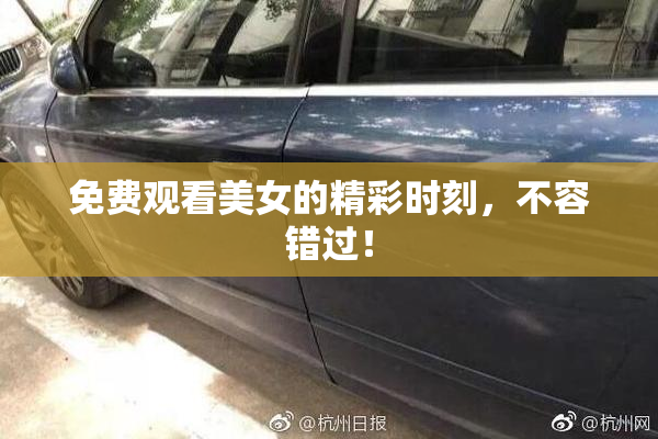 免费观看美女的精彩时刻，不容错过！