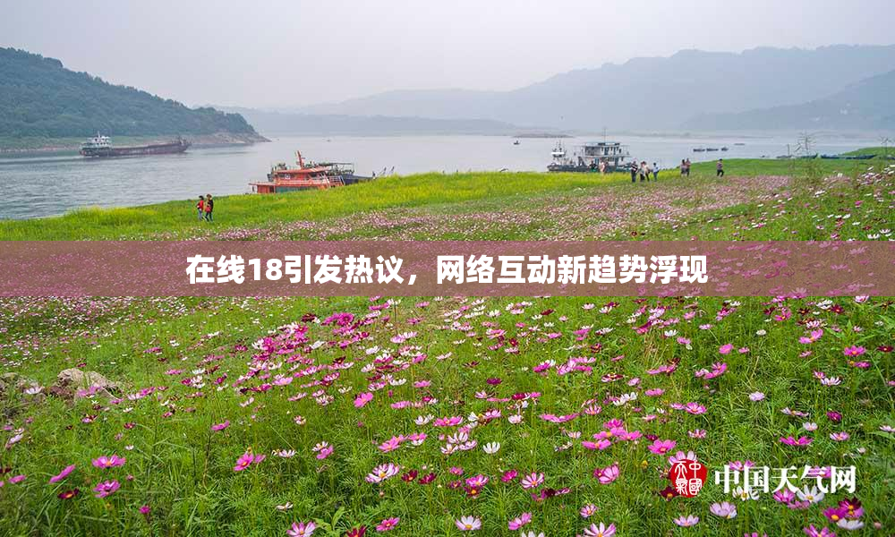 在线18引发热议，网络互动新趋势浮现