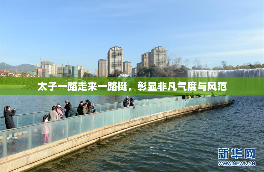 太子一路走来一路挺，彰显非凡气度与风范