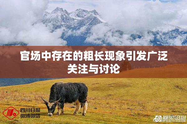官场中存在的粗长现象引发广泛关注与讨论