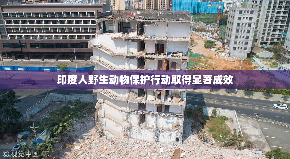 印度人野生动物保护行动取得显著成效