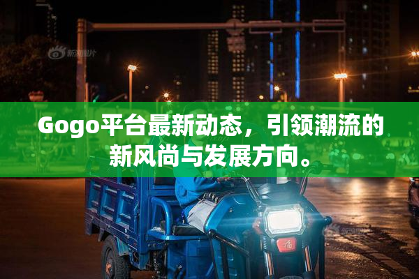 Gogo平台最新动态，引领潮流的新风尚与发展方向。