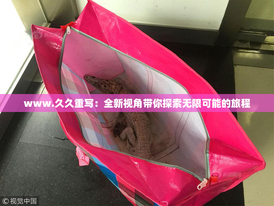 www.久久重写：全新视角带你探索无限可能的旅程