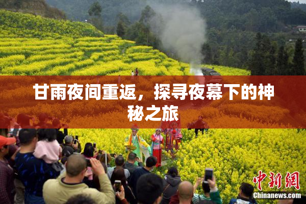 甘雨夜间重返，探寻夜幕下的神秘之旅