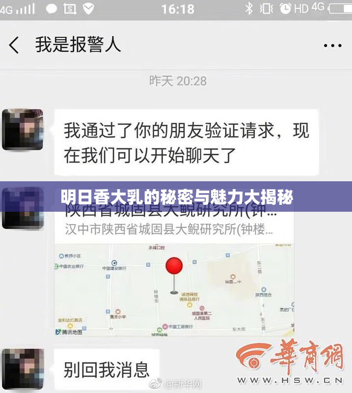 明日香大乳的秘密与魅力大揭秘
