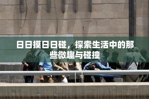 日日摸日日碰，探索生活中的那些微趣与碰撞
