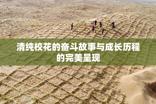 清纯校花的奋斗故事与成长历程的完美呈现