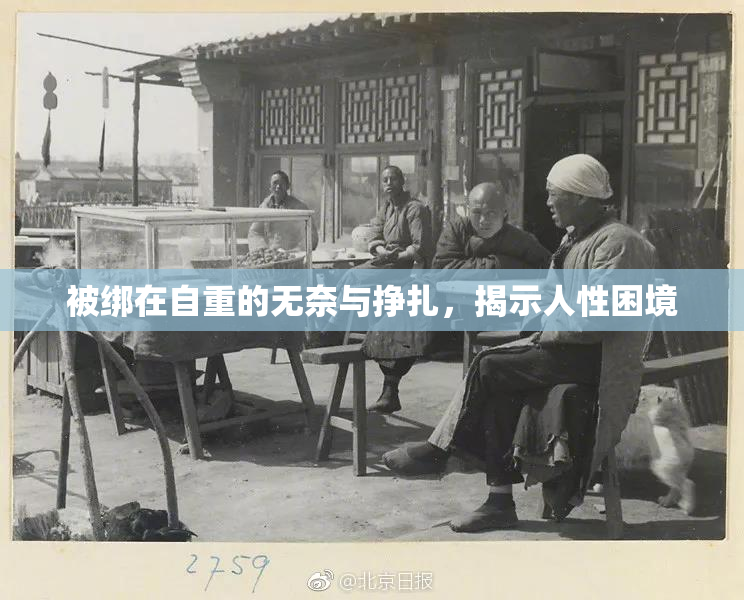被绑在自重的无奈与挣扎，揭示人性困境