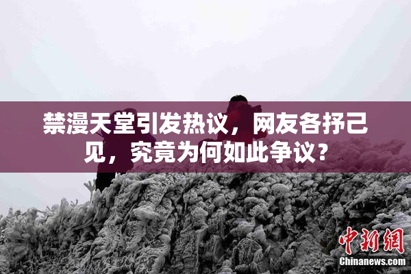 禁漫天堂引发热议，网友各抒己见，究竟为何如此争议？