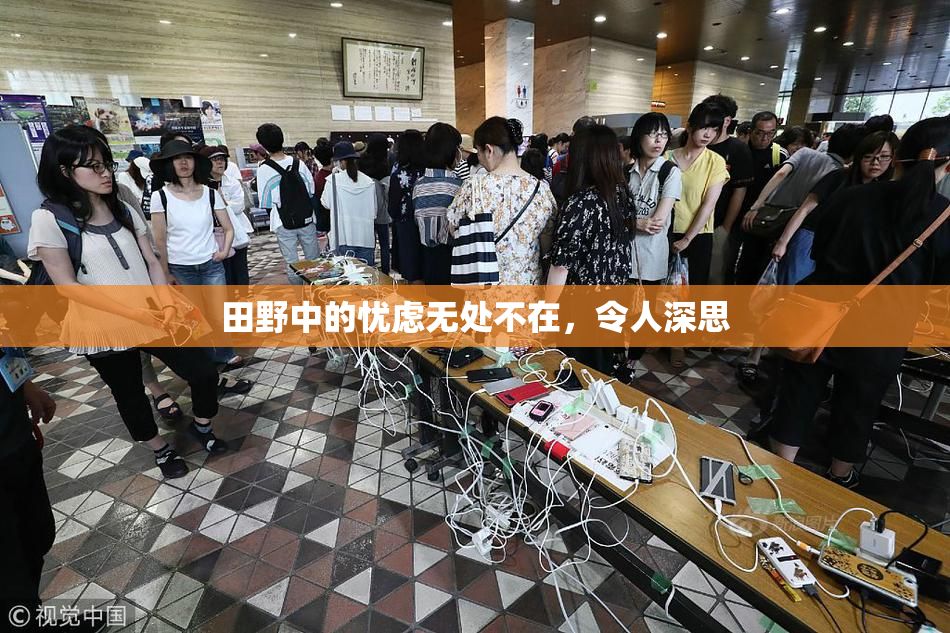 田野中的忧虑无处不在，令人深思