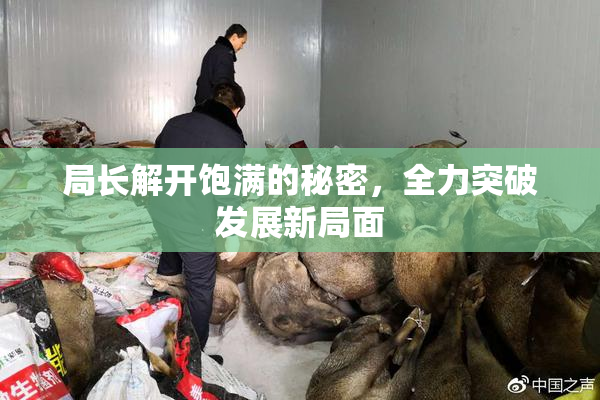 局长解开饱满的秘密，全力突破发展新局面