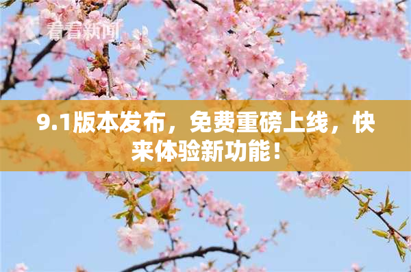 9.1版本发布，免费重磅上线，快来体验新功能！