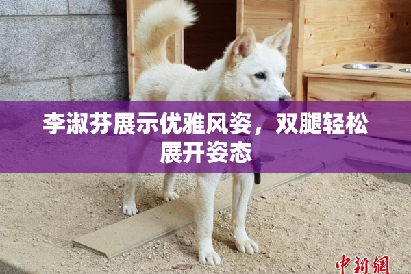 李淑芬展示优雅风姿，双腿轻松展开姿态