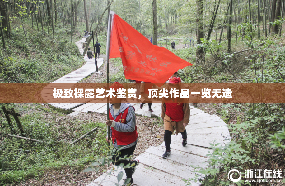 极致裸露艺术鉴赏，顶尖作品一览无遗