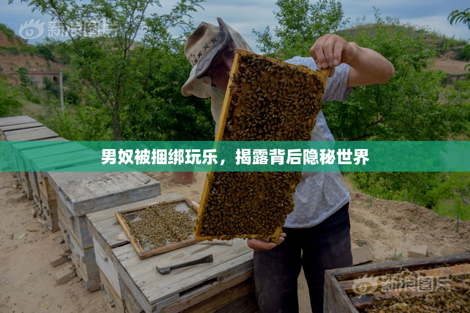 男奴被捆绑玩乐，揭露背后隐秘世界