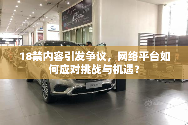 18禁内容引发争议，网络平台如何应对挑战与机遇？