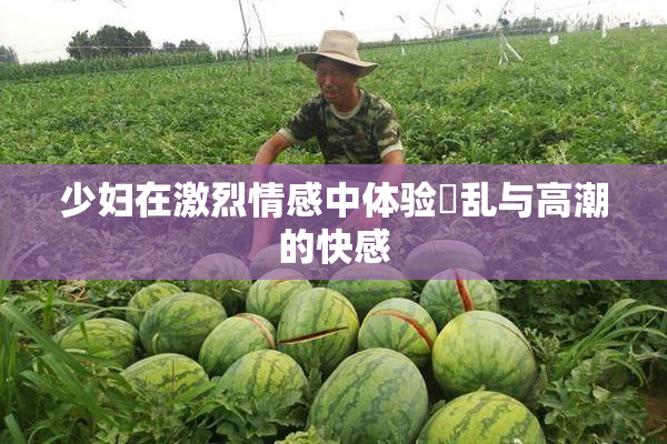 少妇在激烈情感中体验婬乱与高潮的快感