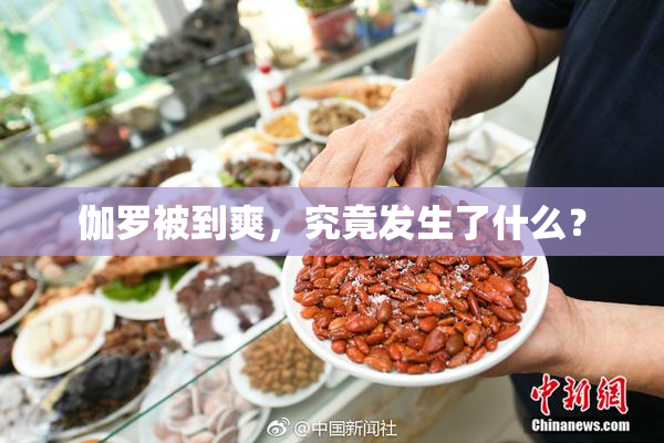 伽罗被到爽，究竟发生了什么？