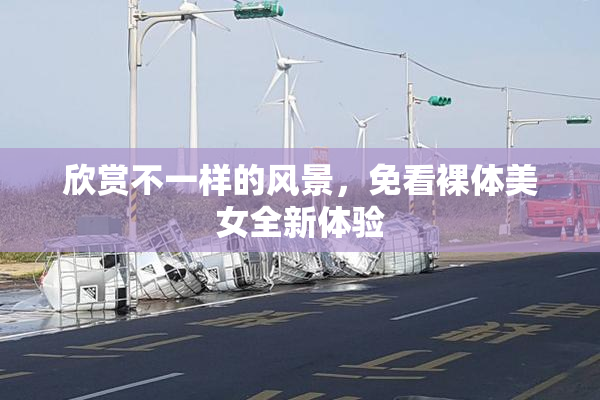 欣赏不一样的风景，免看裸体美女全新体验