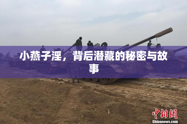 小燕子淫，背后潜藏的秘密与故事