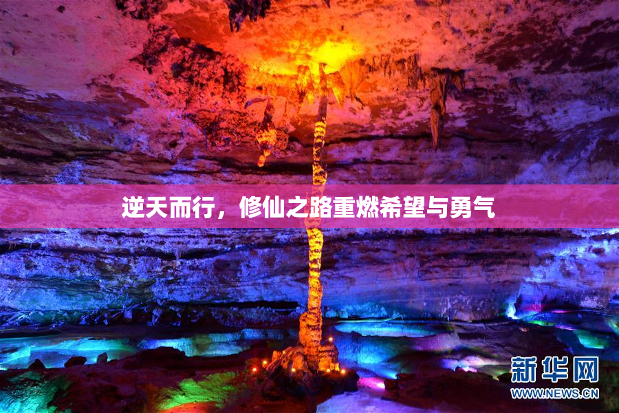 逆天而行，修仙之路重燃希望与勇气