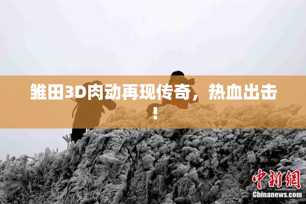 雏田3D肉动再现传奇，热血出击！