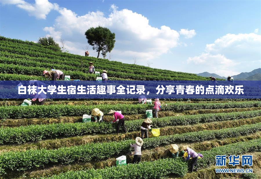 白袜大学生宿生活趣事全记录，分享青春的点滴欢乐