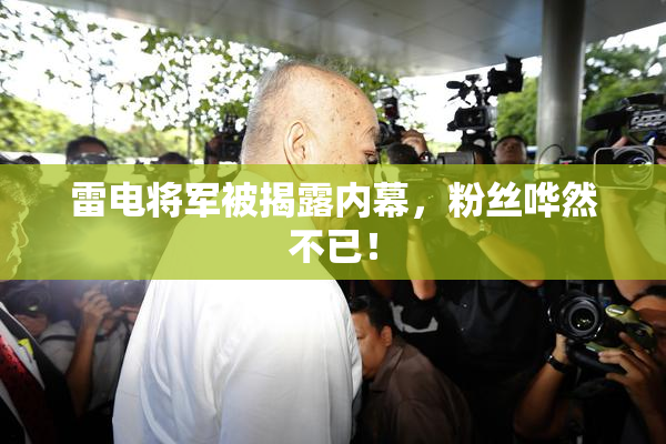 雷电将军被揭露内幕，粉丝哗然不已！