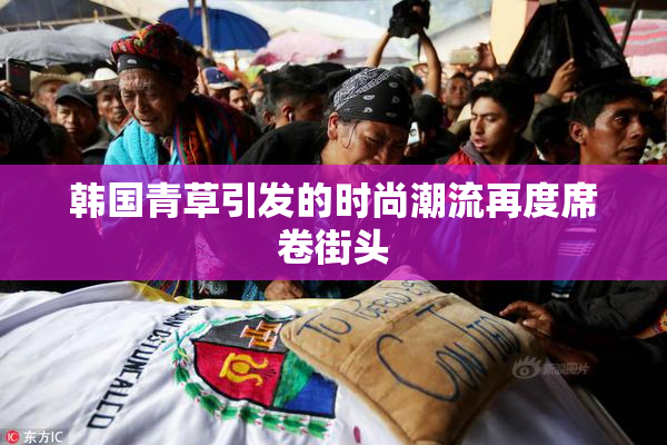 韩国青草引发的时尚潮流再度席卷街头