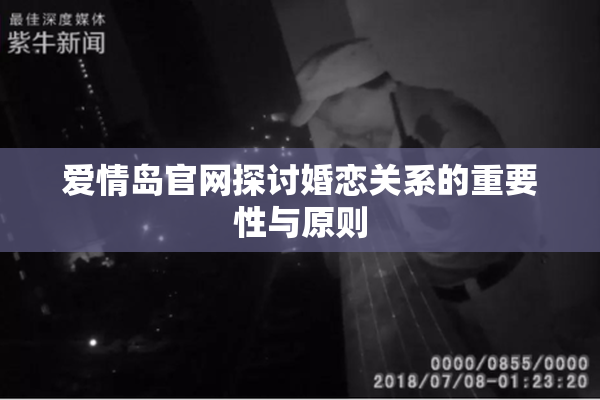 爱情岛官网探讨婚恋关系的重要性与原则