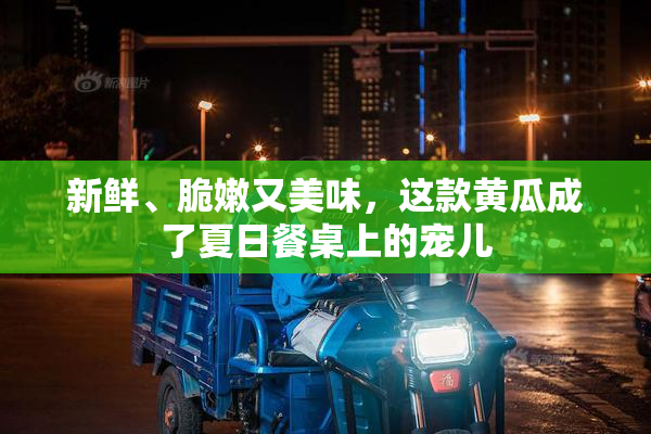 新鲜、脆嫩又美味，这款黄瓜成了夏日餐桌上的宠儿