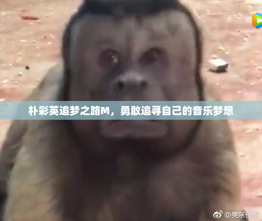 朴彩英追梦之路M，勇敢追寻自己的音乐梦想