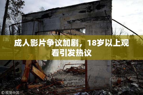 成人影片争议加剧，18岁以上观看引发热议