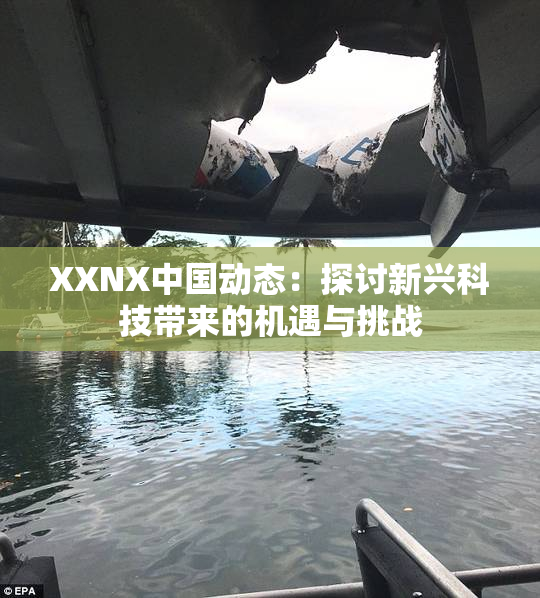 XXNX中国动态：探讨新兴科技带来的机遇与挑战