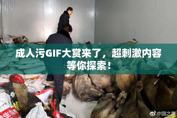 成人污GIF大赏来了，超刺激内容等你探索！
