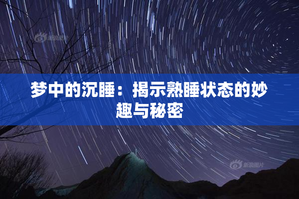 梦中的沉睡：揭示熟睡状态的妙趣与秘密