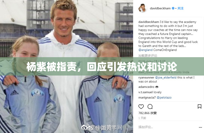 杨紫被指责，回应引发热议和讨论