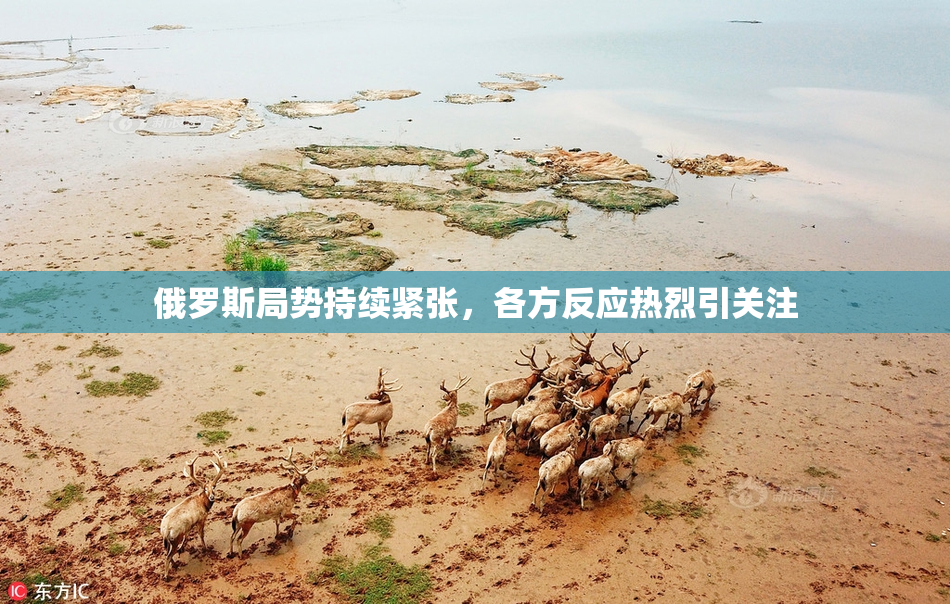 俄罗斯局势持续紧张，各方反应热烈引关注