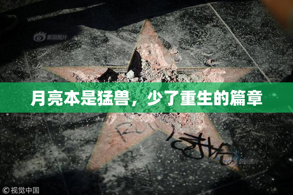 月亮本是猛兽，少了重生的篇章