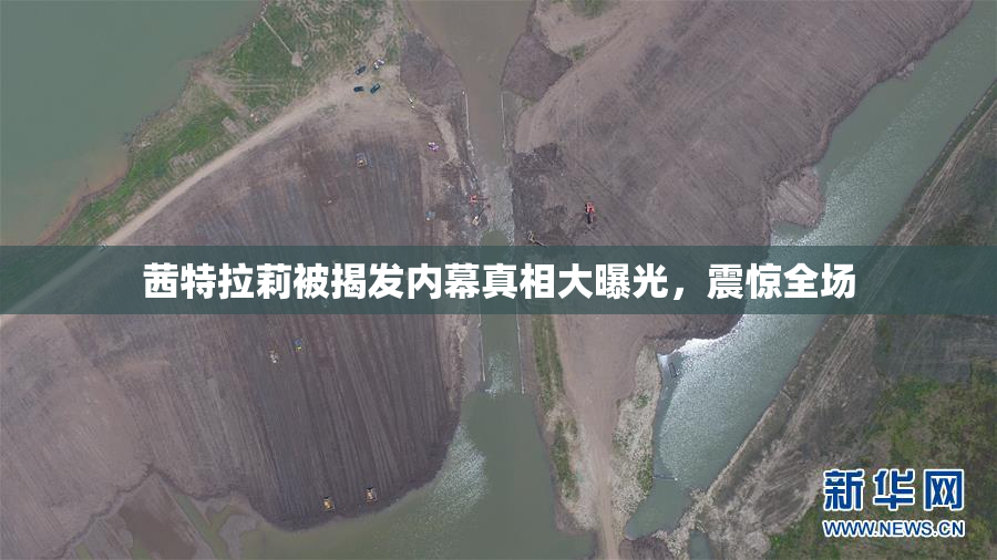 茜特拉莉被揭发内幕真相大曝光，震惊全场