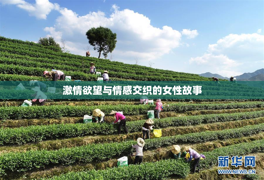 激情欲望与情感交织的女性故事