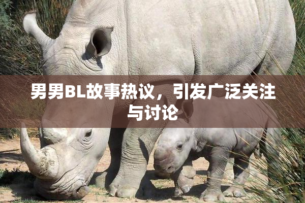 男男BL故事热议，引发广泛关注与讨论