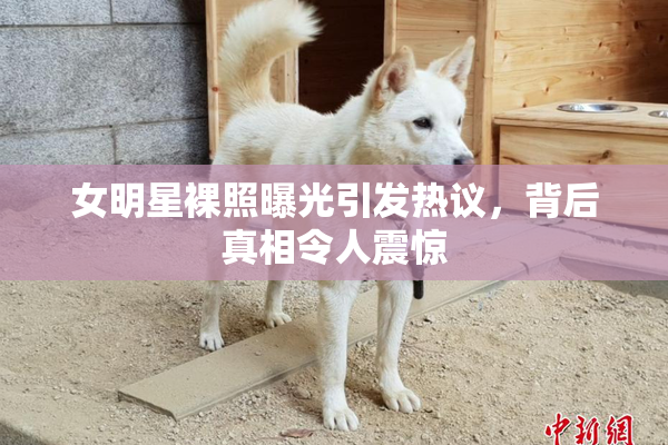 女明星裸照曝光引发热议，背后真相令人震惊