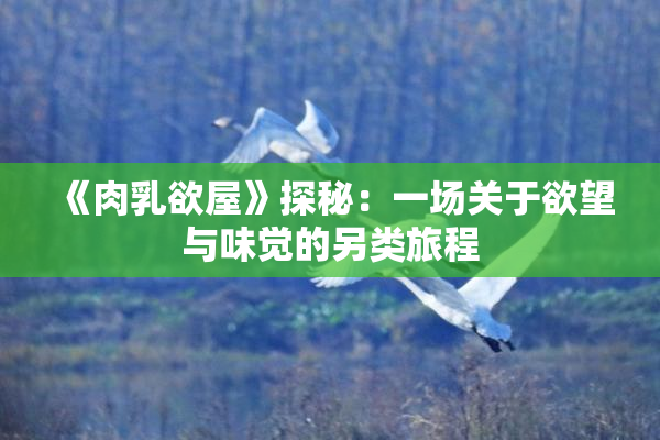 《肉乳欲屋》探秘：一场关于欲望与味觉的另类旅程